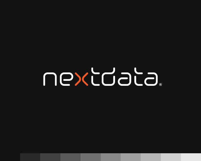 Nextdata / IT industry
