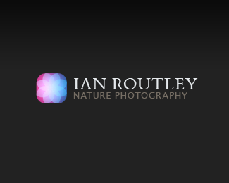 Ian Routley (Redux)
