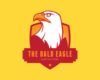 Bald Eagle Logo