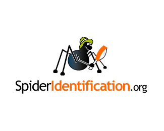 Spider Identification.org