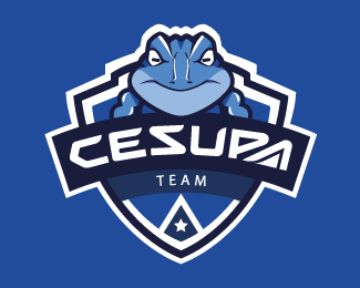 Cesupa Team