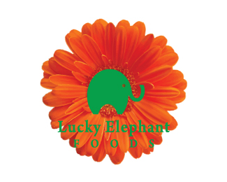 Lucky Elephant Foods
