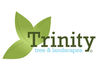 Trinity Tree and Landscapes