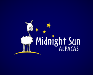 midnight sun alpacas