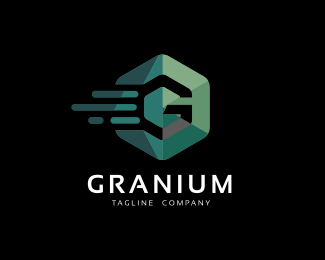 Granium - Hexagon Logo Template
