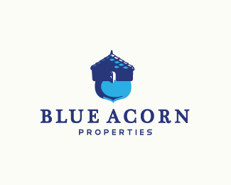 Blue Acorn Properties