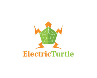 Electric Turtle