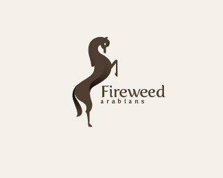Fireweed Arabians