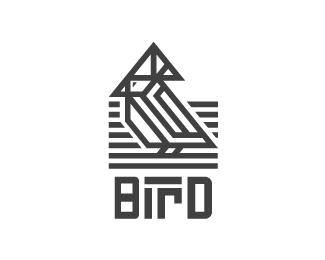 Bird Logo Mark And Logo Type Concept Exploration I