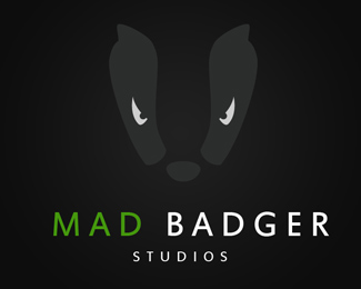 Mad Badger Studios
