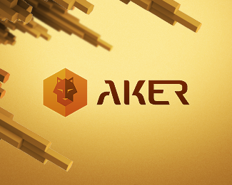 Aker • Security Solutions