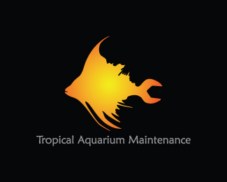 Tropical Aquarium Maintenance