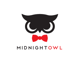 Midnight Owl1