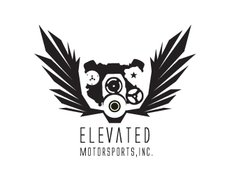 Elevated Motorsports