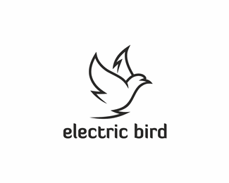 electric bird