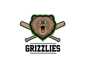 Grizzlies Baseball Team