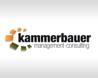 kammerbauer management consulting