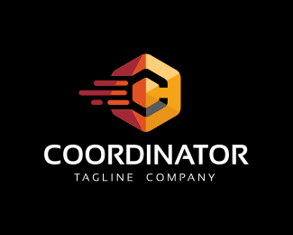 Coordinator-Hexagon Logo Template