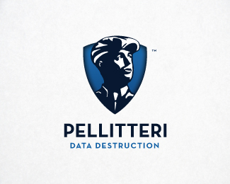 Pellitteri Data Destruction
