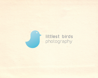 Littlest Birds Photography