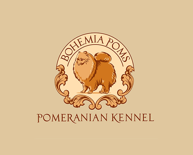 Kennel Pomeranian