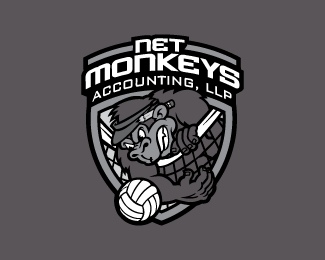 Net Monkeys Accounting
