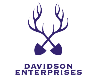 Davidson Enterprises