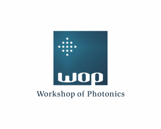 Workshop of Photonics v.11