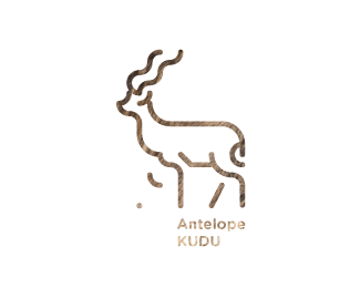 30 Days With Animals / Antelope KUDU