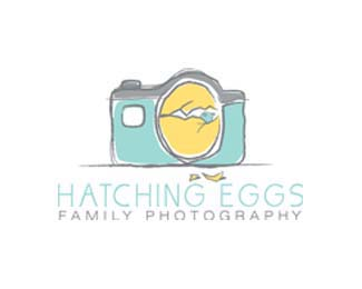 Hatching Eggs Photography
