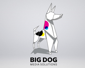 Big Dog Media Solutions