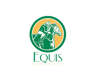 Equis Equestrian Sports Team Log