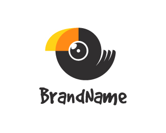 Cute Toucan Photography Logo - for sale $350