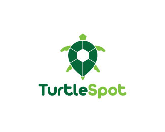 Turtle Spot