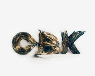 Hair Logo of Chickenbrainken