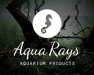 Aqua Rays