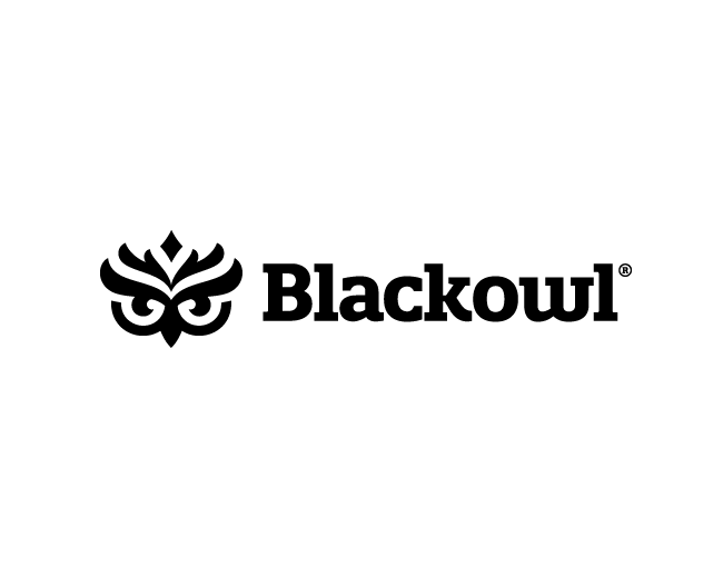 BlackOwl Media Group