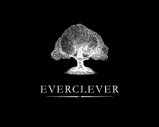 Everclever