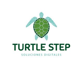 Turtle Step