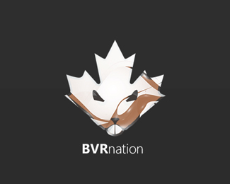 BVR Nation