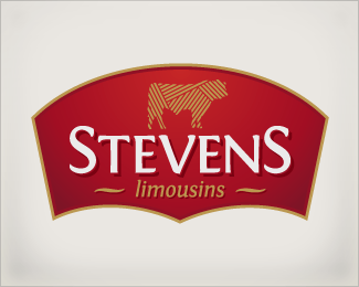Stevens Limousins