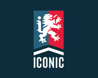 ICONIC Design Co.