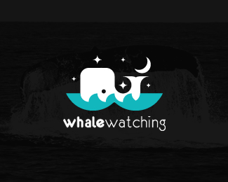 Whale Watching