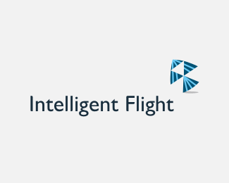 Intelligent Flight