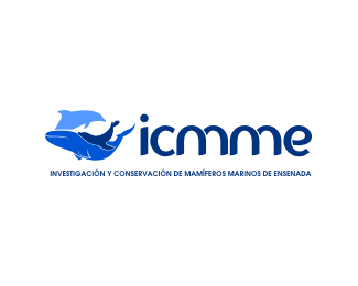 ICMME A.C.