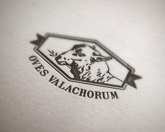 Oves Valachorum logo and stationery design