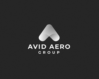 Avid Aero Group