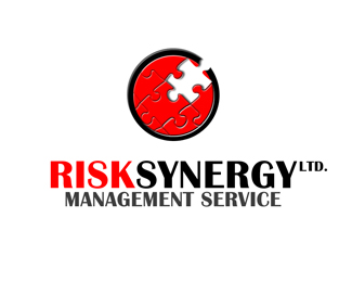 Risk Synergy