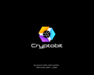 Blockchain Network Technology logo Design