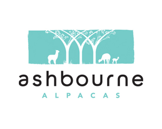 Ashbourne Alpacas